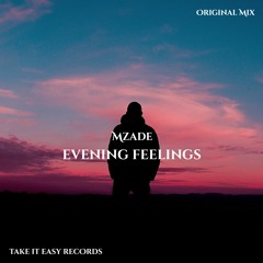 Mzade - Evening Feelings (Original Mix)