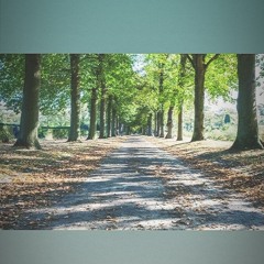 Gabriel Del Cast - Progressive España 2da Ronda