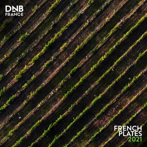 Download VA - DNB France: French Plates 2021 mp3