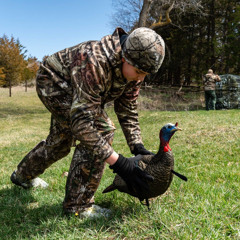 Turkey Decoys & Spring Foraging