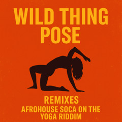 Wild Thing Afro House Remix