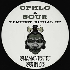 PREMIERE | Sour - The Porthole [Forthcoming Shamanistic Sounds]