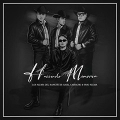 Haciendo Memoria - Peso Pluma