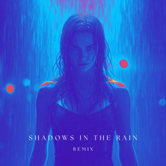 Shadows in the Rain - Remix