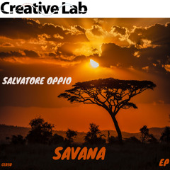 Salvatore Oppio - Savana (Original Mix)
