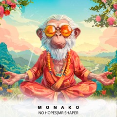 No Hopes, Mr Shaper - Monako (Original Mix)