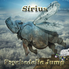 Psychedelic Jump / 2018