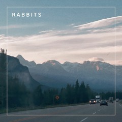 Rabbits