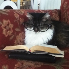 sayonara bye bye nightcore [vewn version]