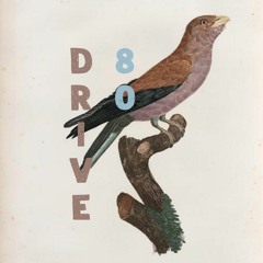 Drive 80