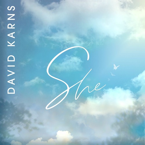 She - David Karns