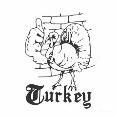 Turkey - i know you have $$$