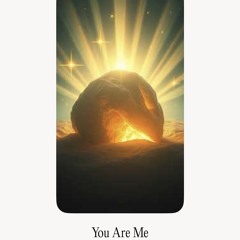 you-are-me remix vocal