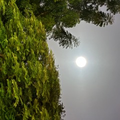 Surah Al-Qamar | Fahad Aziz Niazi | Taraweeh سورة القمر | القارئ فهد عزيز نيازي | التراويح