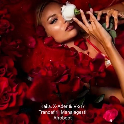 Kaiia, X-Ader & V-217 - Trandafiri Mahalagesti (Vip-Afroboot)