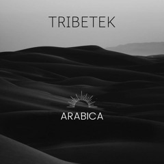 Tribetek - Arabica ( Progressive Techno )