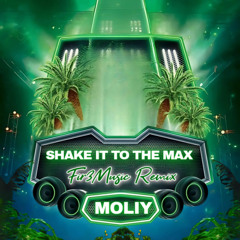 Shake It To The Max (Remix)