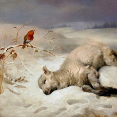 backw666s - disappearance