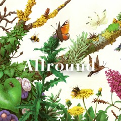 Allround