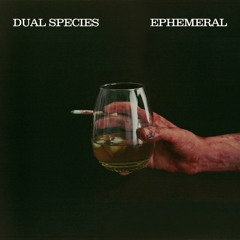 Dual Species - The Sun Coming Out Makes Me Sad