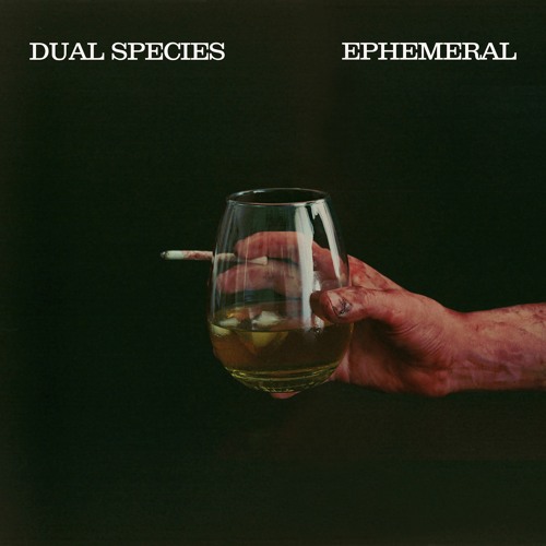 Dual Species - The Sun Coming Out Makes Me Sad