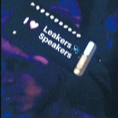 🔊 LEAKER SPEAKERS X SNXWGLXBE ❄️