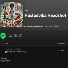 Hustadvika Headshot