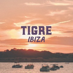 Tigre Morado Ibiza (14.10.2023)