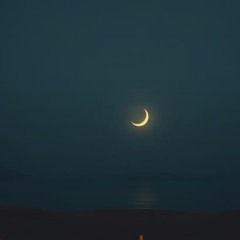 Neon Run (Reno Skyline)