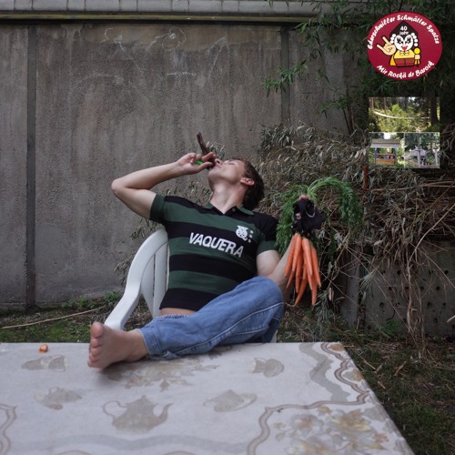 ä Nagel isch kei Schruubä II