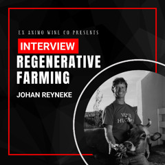 Johan Reyneke of Reyneke Wines talks with David Clarke | South Africa
