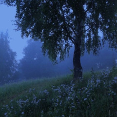 ⋆ ˚｡⋆౨ৎ˚ Castaway sped up - the vanished people ₊˚⊹ ᰔ