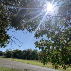 Be Quiet and Drive (Far Away)