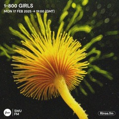 1-800 Girls - 17 February 2025