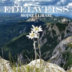 Signe & Hjördis - Edelweiss (LIRARE x MOJNZ Remix)