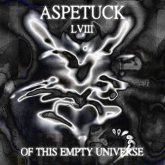 #58 - Aspetuck-  of this empty Universe