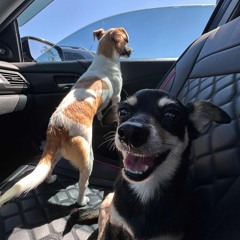 PR AT THE GYM (HARD TECHNO MIX #1)