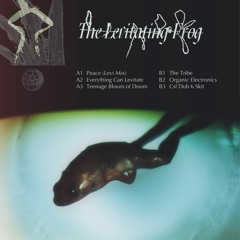 The Levitating Frog (Presented by Repulsive Force) [cassette limited to 25 ex]