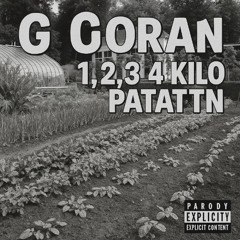 1 2 3 4 kilo pattatn