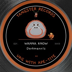 Wanna Know [UKG 2-Step Mix] - Free D/L