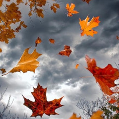 DJ Vilém - Autumn Mix 2025