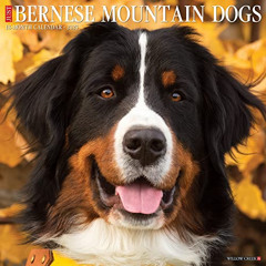 [Access] KINDLE 💌 Just Bernese Mountain Dog 2023 Wall Calendar by  Willow Creek Pres