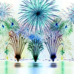 W Litters - fireworks