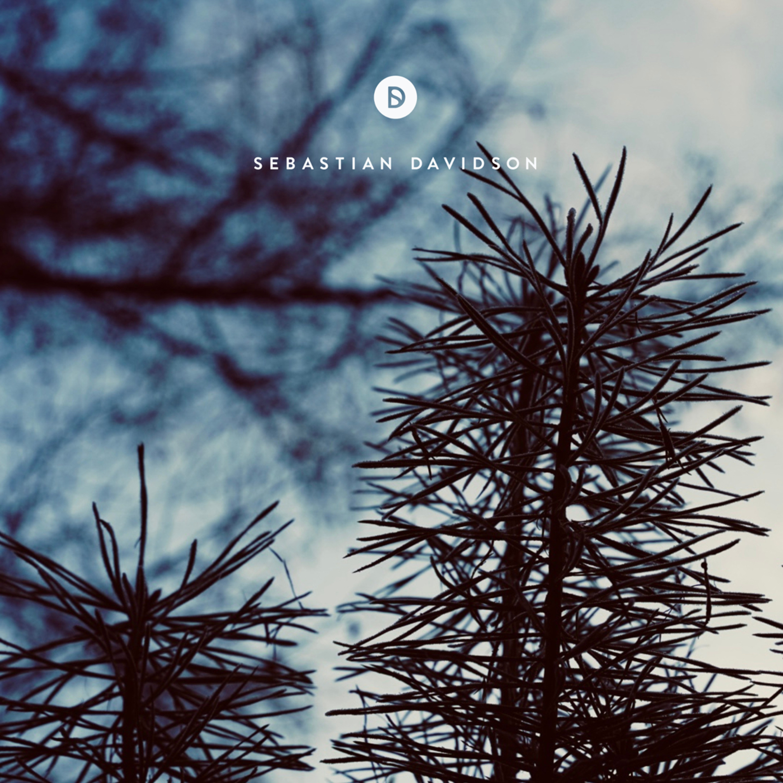 Voyage of Discovery by Sebastian Davidson