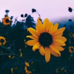 Mitra Re - Arijit Singh