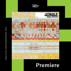 PREMIERE: Saqib, Naayaab - Jungle [Sounds of Khemit]