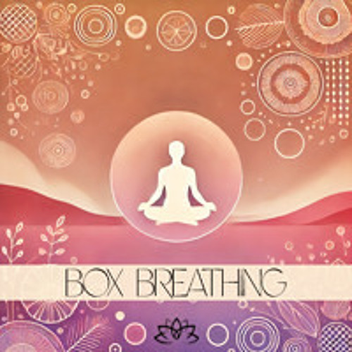 Box Breathing: A Guide to Calm and Focus
