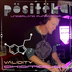 Validity @ Positeka Fundraiser 24