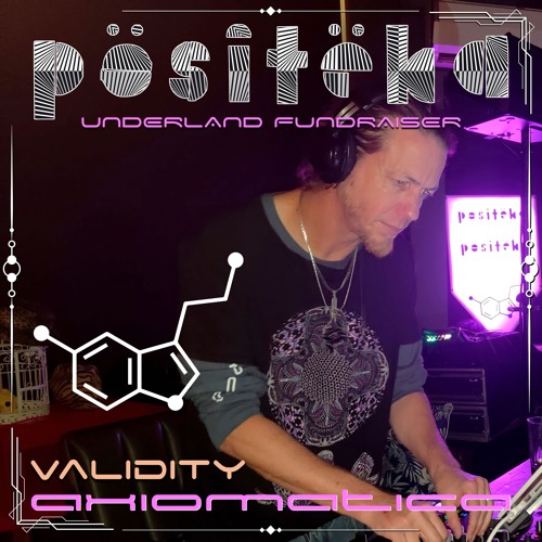 Validity @ Positeka Fundraiser 24