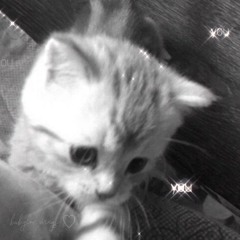 Mamichula X Real Gangsta Love